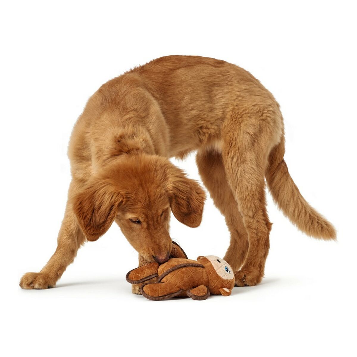 Dog toy Hunter Togh Toys Brown 25 cm Monkey-2
