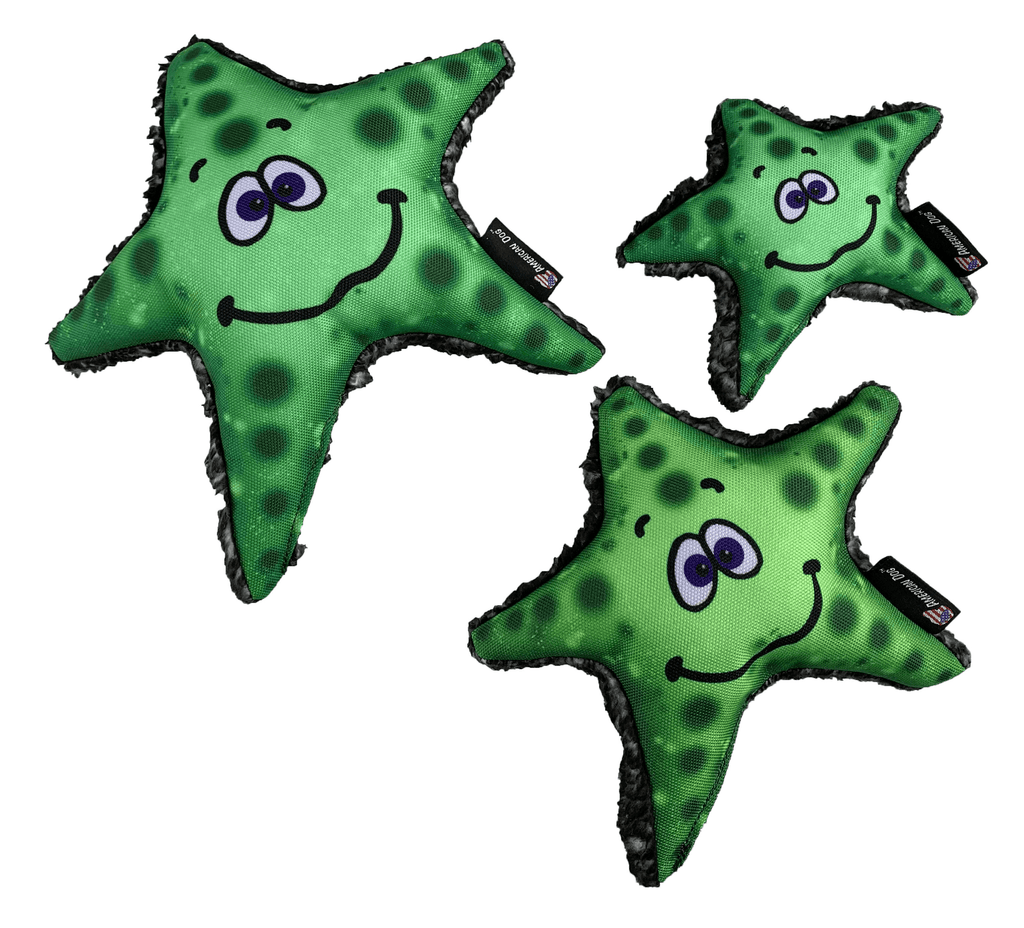 Stanley Durable Floatable Starfish Dog Toy-3