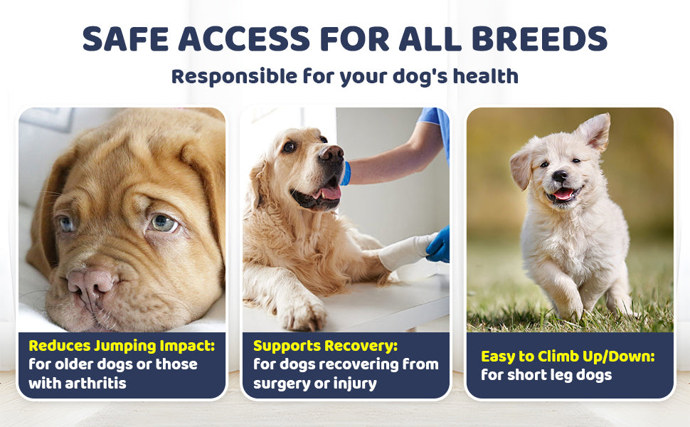 Foldable Dog Stairs With Storage - 3-Level Small To Medium Dog Breed Ramp, Oxford Fabric, Suitable For High Beds And Sofas, Pet Ladder, Dog Stairs