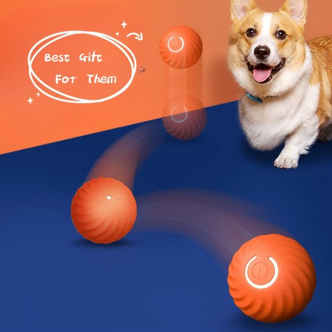 Durable Rubber Ball Toys for Dogs-0