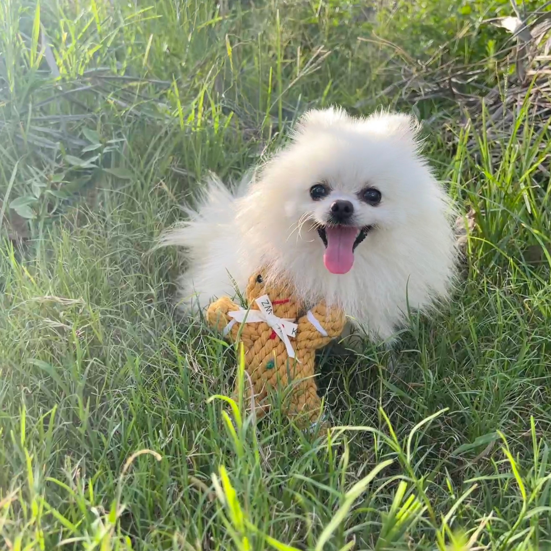 Gingerbread Man Rope Toy
