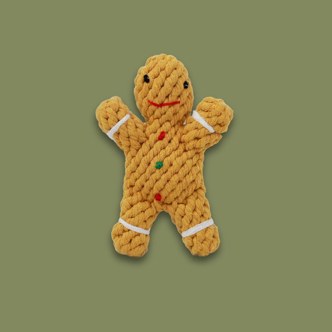 Gingerbread Man Rope Toy